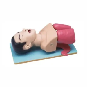 KOKEN Airway Management Model LM-059