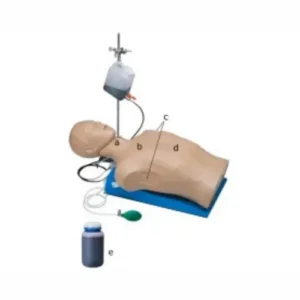 Thoracic Trauma Trainer LM-093