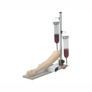 Injection and Blood Sampling Practice Model Type Ⅰ LM-028