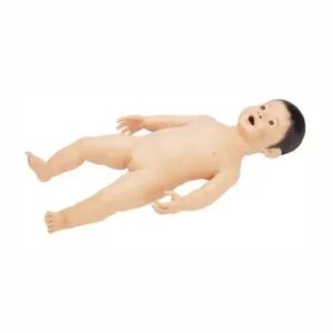 Infant Model for Nursing Practice LM-052