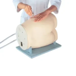 Gluteal Intramuscular Injection Model Ⅱ LM-057