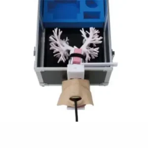 Ultrasonic Bronchoscopy Simulator LM-099