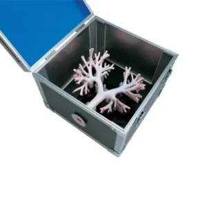Bronchoscopy Training Model LM-092