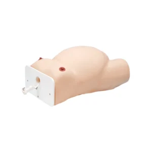 ECV (External Cephalic Version) Model LM-080