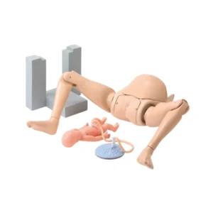 Obstetric Assistant Model Set type Ⅱ, Hiroko LM-114
