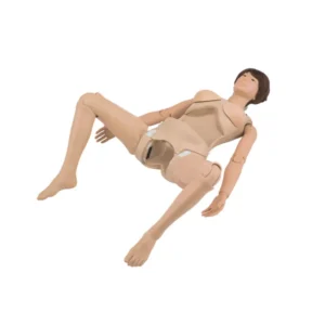 Full-Body Pregnancy Simulator Ⅱ LM-114H-CE
