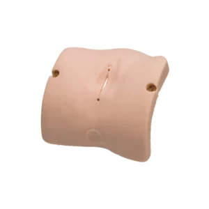Obstetric Model-Vulva Ⅱ LM-101P, LM-101M