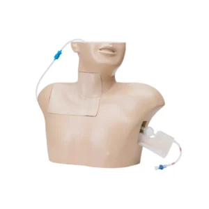 Central Venous Puncture Trainer LM-090
