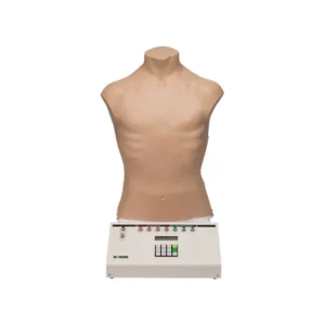Physical Assessment Trainer LM-084