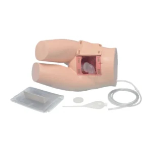 Feces Removal and Glycerin Enema Training Model LM-068