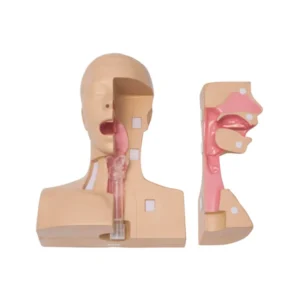 KOKEN Tracheostomy Management Simulator LM-106