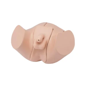 Male Catheterization and Enema Simulator LM-109M