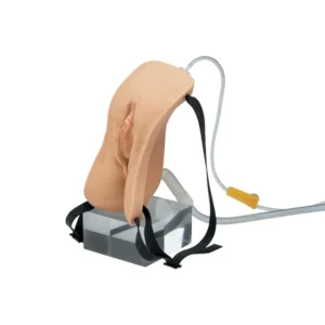 Female Catheterization and Rectal Injection Model Type Ⅱ LM-025
