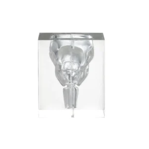 Transparent Laryngopharynx Model LM-104
